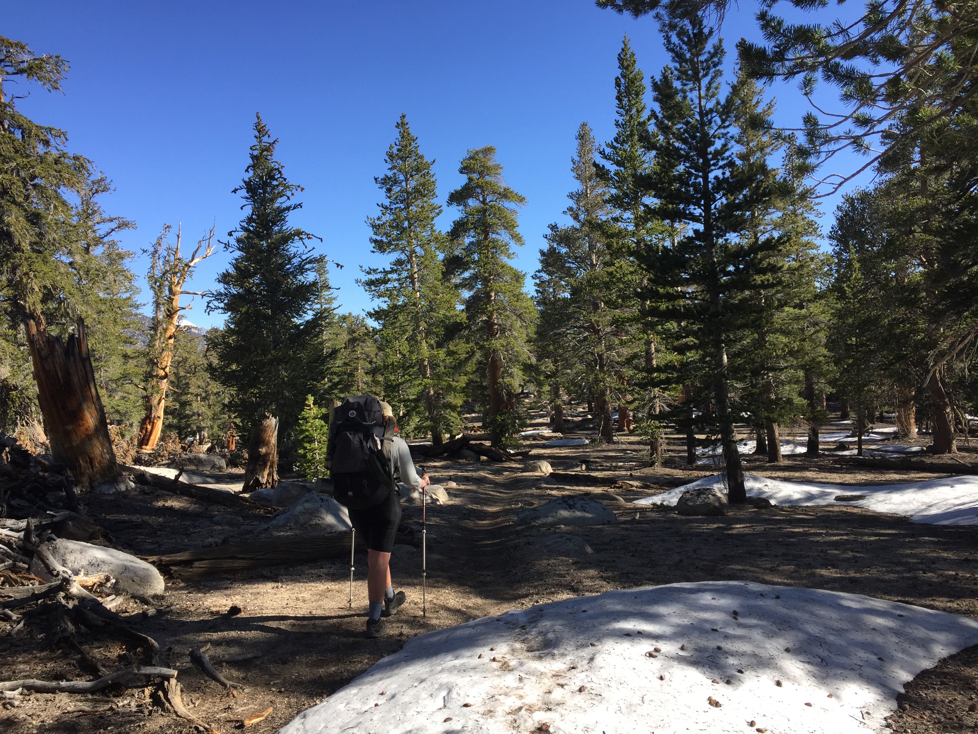 Lone Pine California